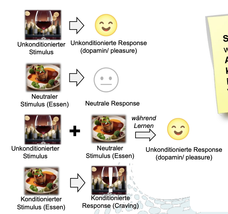 <p><strong>Annahme: </strong><br><span>Selbstbestimmte Regulation </span>des Alkoholkonsums durch neuropsychologische Veränderungen <span>dauerhaft erschwert</span><br><br><br></p><ul><li><p class="p2"><strong>Klassische Konditionierung:</strong></p><ul><li><p>Alkohol = unkonditionierter Stimulus → Dopamin/Belohnung</p></li><li><p>neutrale Reize (z.B. Essen, Orte, Personen) werden zu konditionierten Stimuli</p></li><li><p>Diese lösen später Craving aus<br><br></p></li></ul><p>Automatisierte Reiz-Reaktions-Ketten → schwer löschbar</p><ul><li><p>Belohnungssystem reagiert weniger auf natürliche Verstärker</p></li><li><p>Alkohol wird zur exklusiven Quelle von Wohlbefinden</p></li></ul><p><br></p></li></ul><p></p>