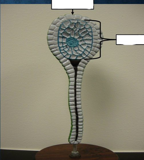 <p>What is this? Label.</p>