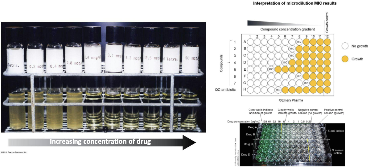 <ul><li><p>Minimum inhibitory concentration (MIC) test in test tubes or multi-well plates</p></li></ul><p></p>