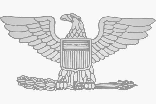 <p>O-6</p>
