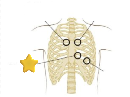 <p>What is this?</p>