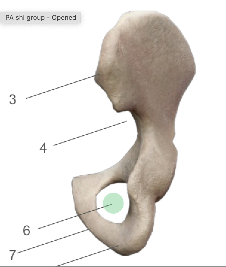 term image