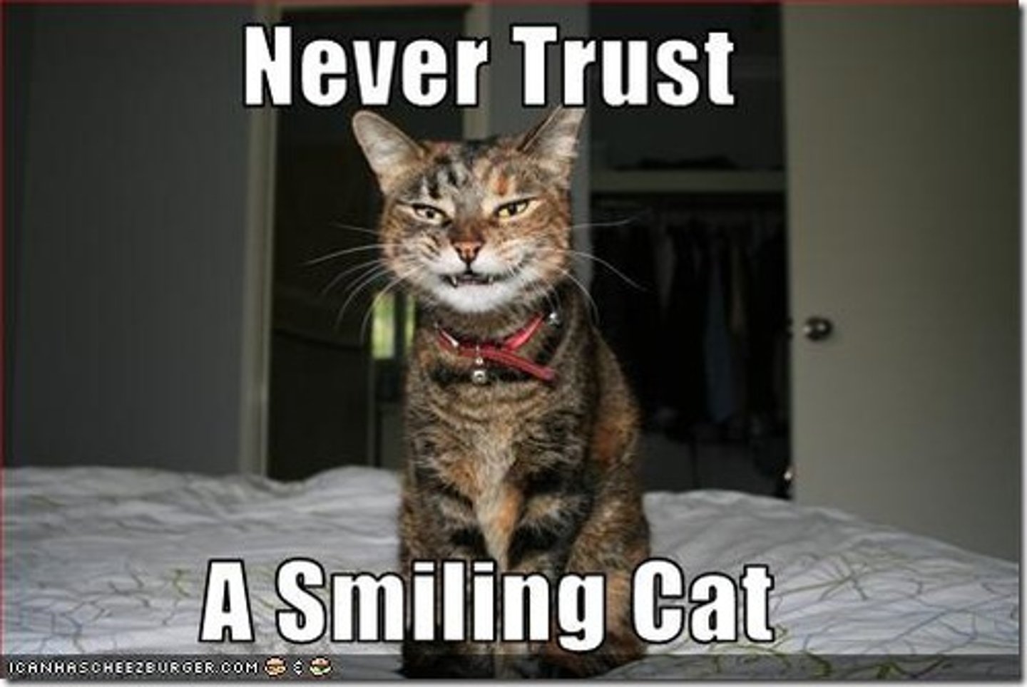<p>never (imperfect)</p>