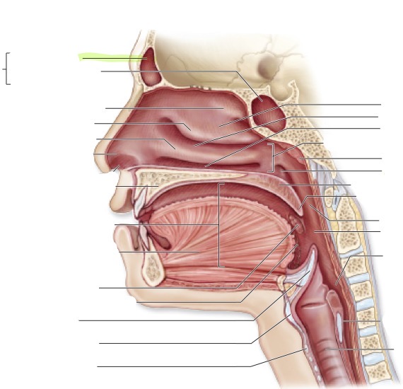 <p>what is this </p>