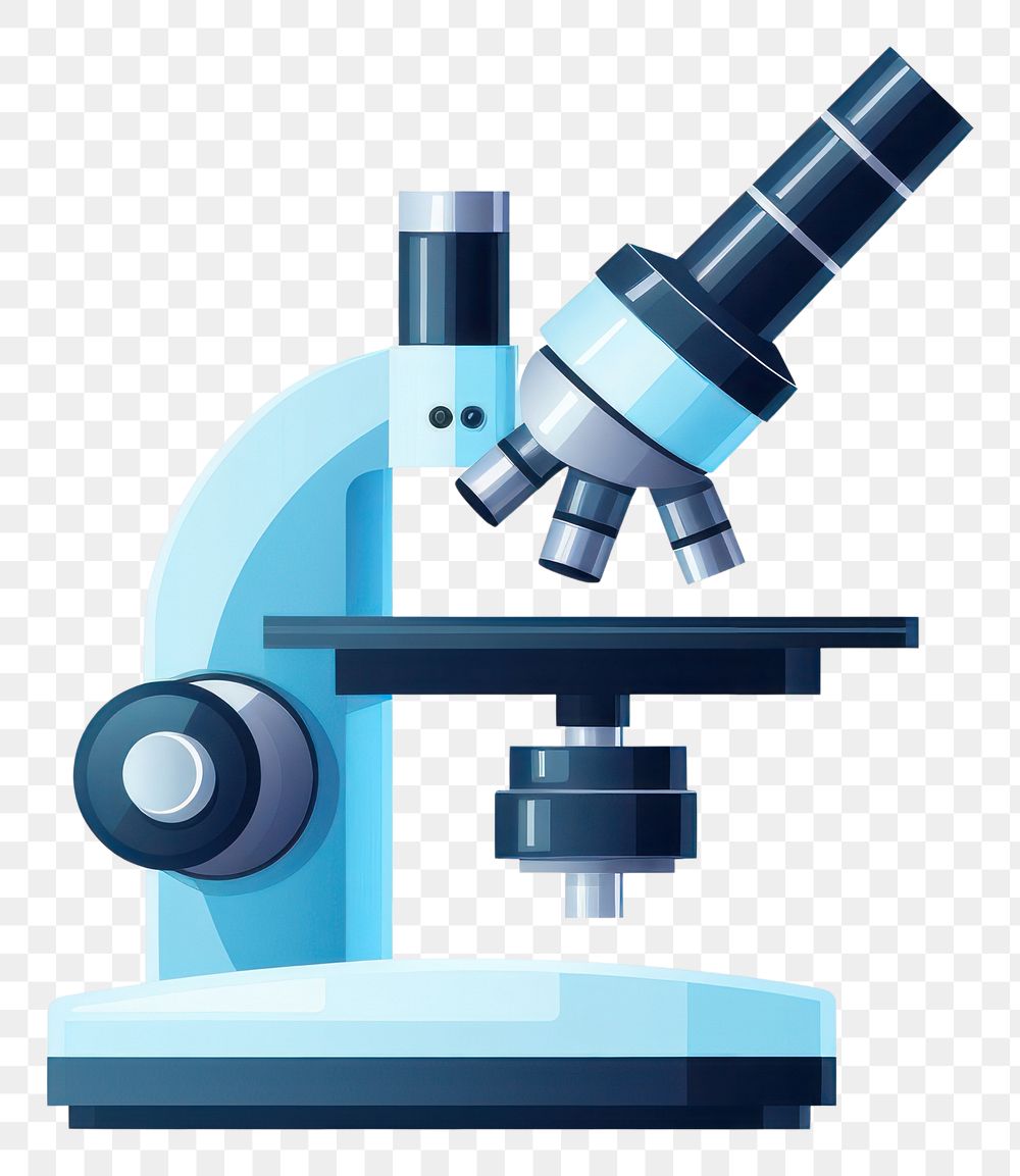 <p>Microscopic anatomy </p>