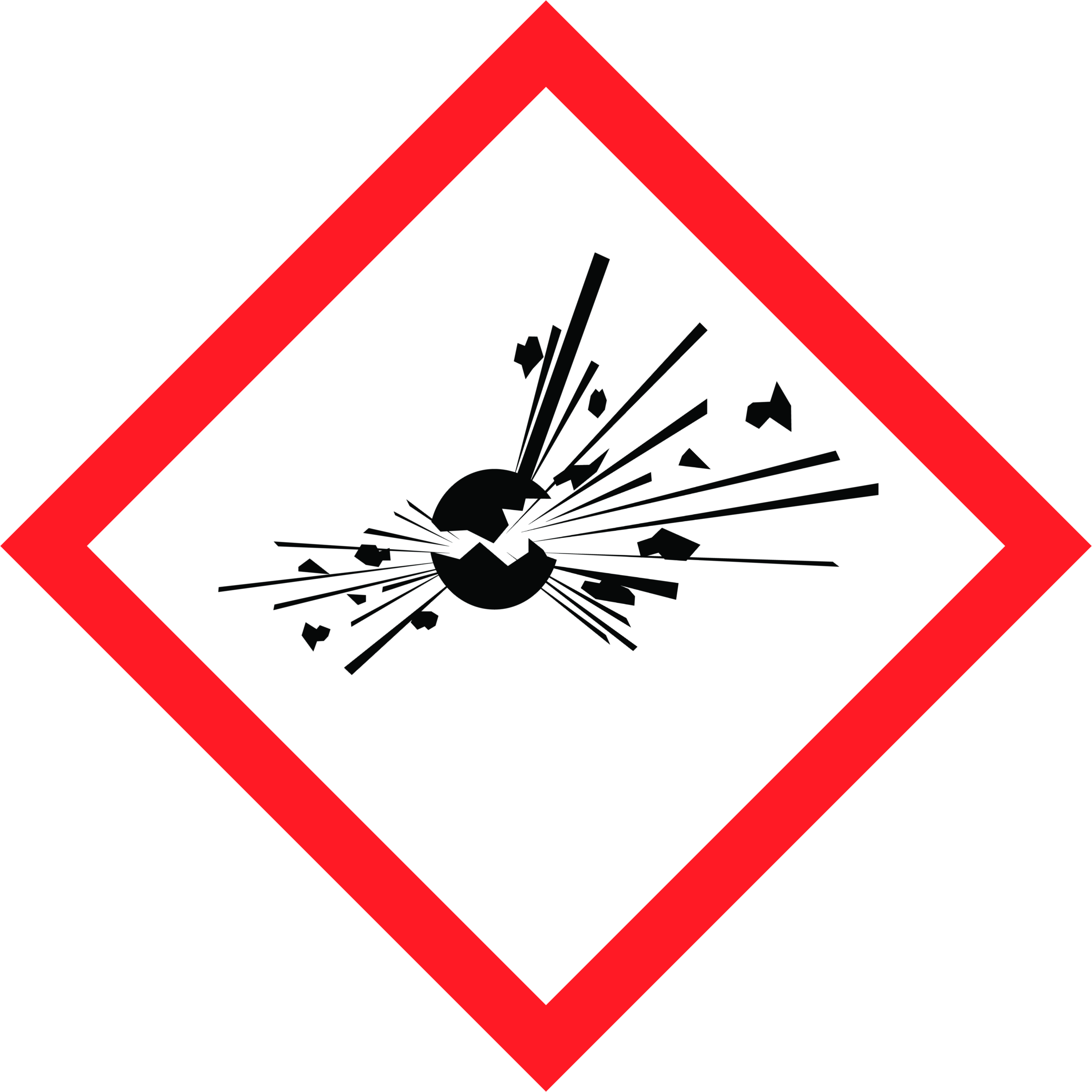 term image
