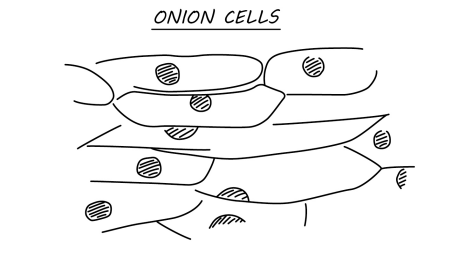 <p>2022: Give two ways the student could improve the drawing in figure 4 (2)</p>