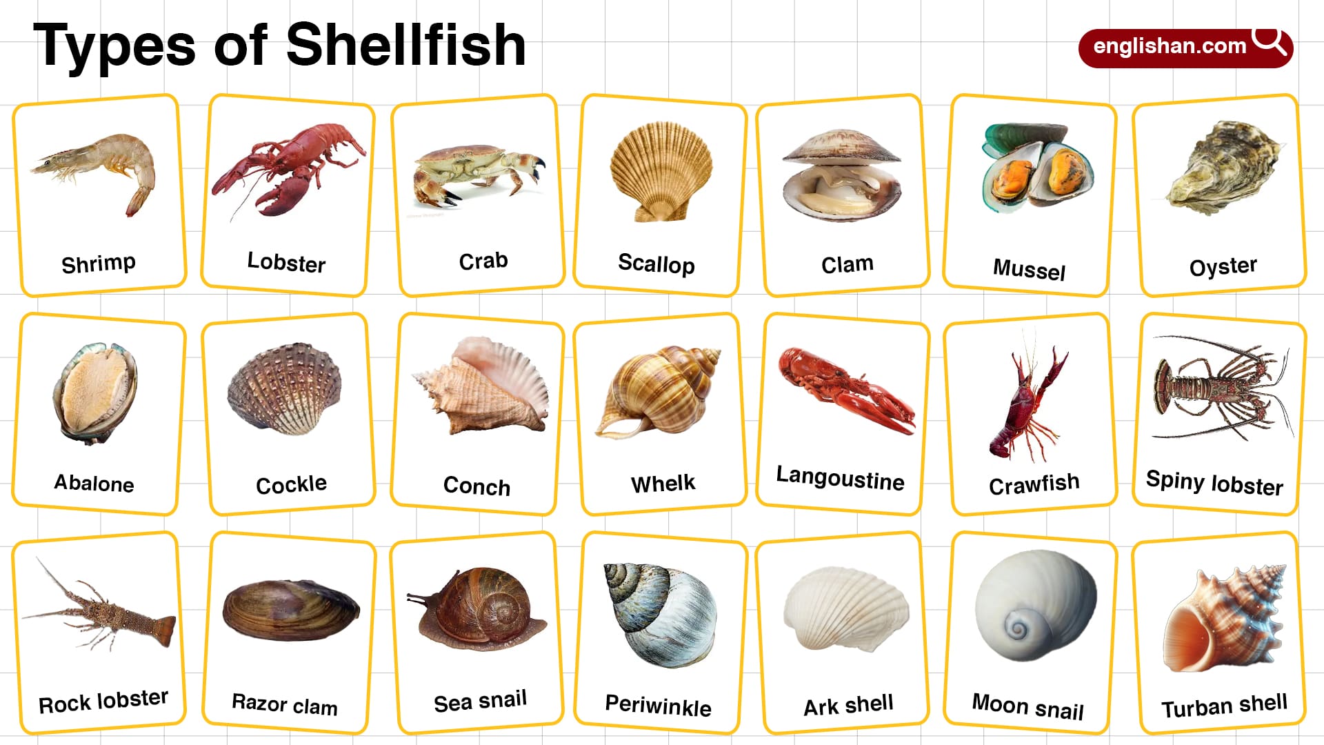 <p>shellfish</p>