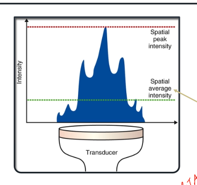 <p>since intensity is not uniform across the transduces in teh near field (as in there is a higher spatial peak intensity than the spatial average intensity, see image), what does that mean for us clinically? </p>