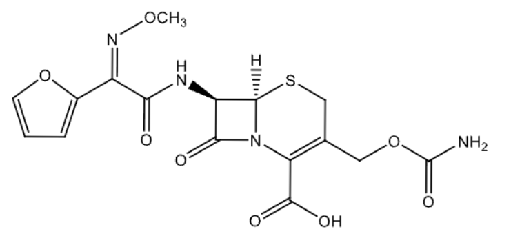<p>name</p>