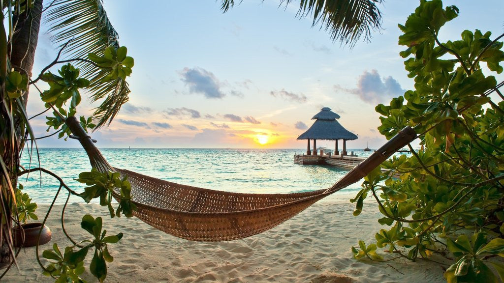 <p>to relax</p>