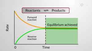 <p>What is dynamic equilibrium?</p>