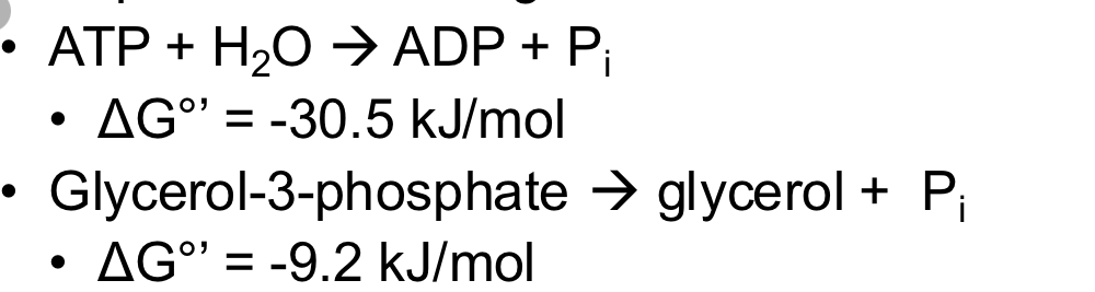 <p>which one has the higher phosphoryl transfer potential: G3P or ATP</p>