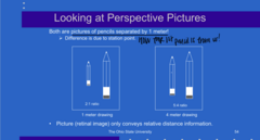 <p>Difference in perspective size is d/t the difference in ____ point</p>