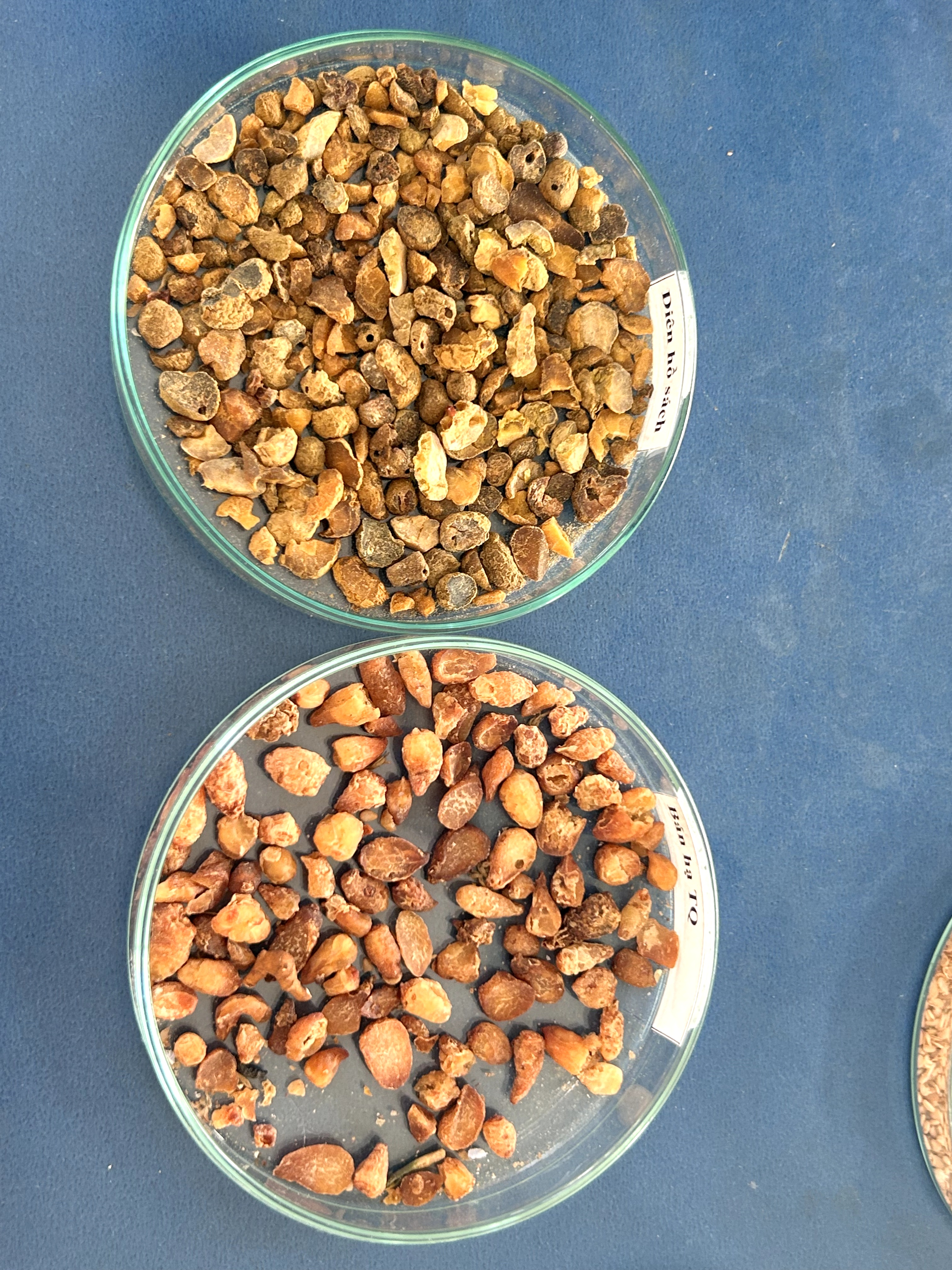 <p>diên hồ sách &amp; bán hạ TQ</p>