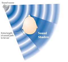 <p>The amount of sound reflected also depends on the size of the object it encounters</p>