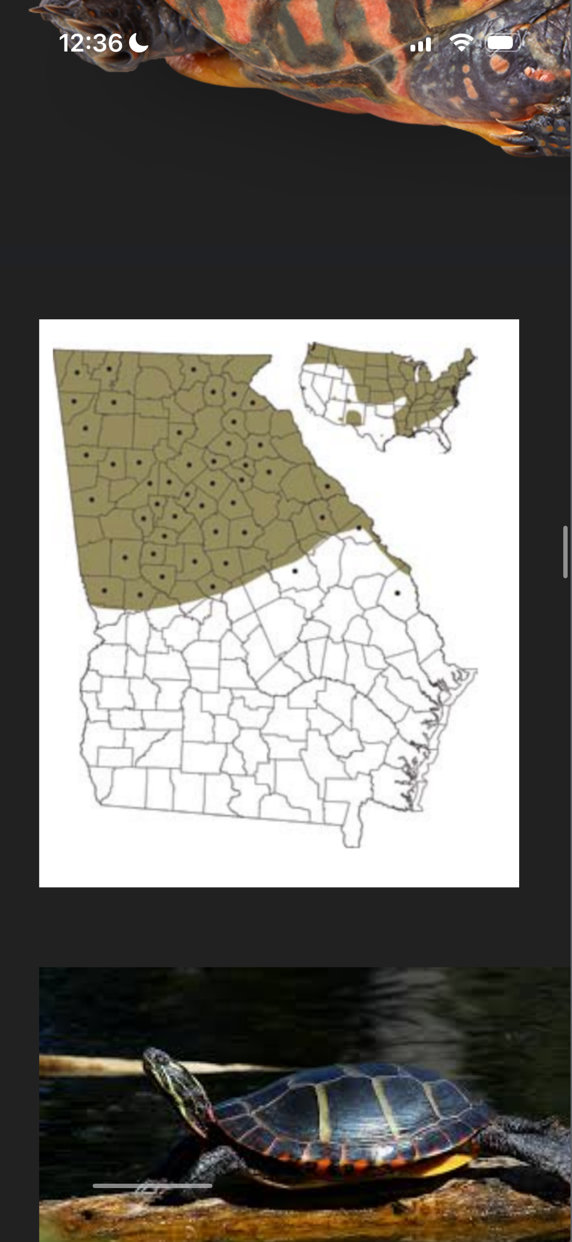 <p>Aquatic habitats with soft muddy bottoms, shallow water, an aquatic veg. </p><p>Sit on logs </p>