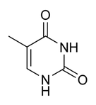 <p>name this nucleotide base</p>