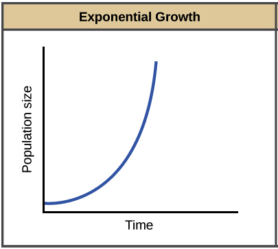 <p>-Describes how a population growth when: nothing is limiting it<br>-Assumes unlimited food, no predators, no disease</p><p>-the bigger a population gets, the faster it grows</p><p>r=intrinsic rate of growth (max possible growth rate) </p><p>J-shaped curve</p>