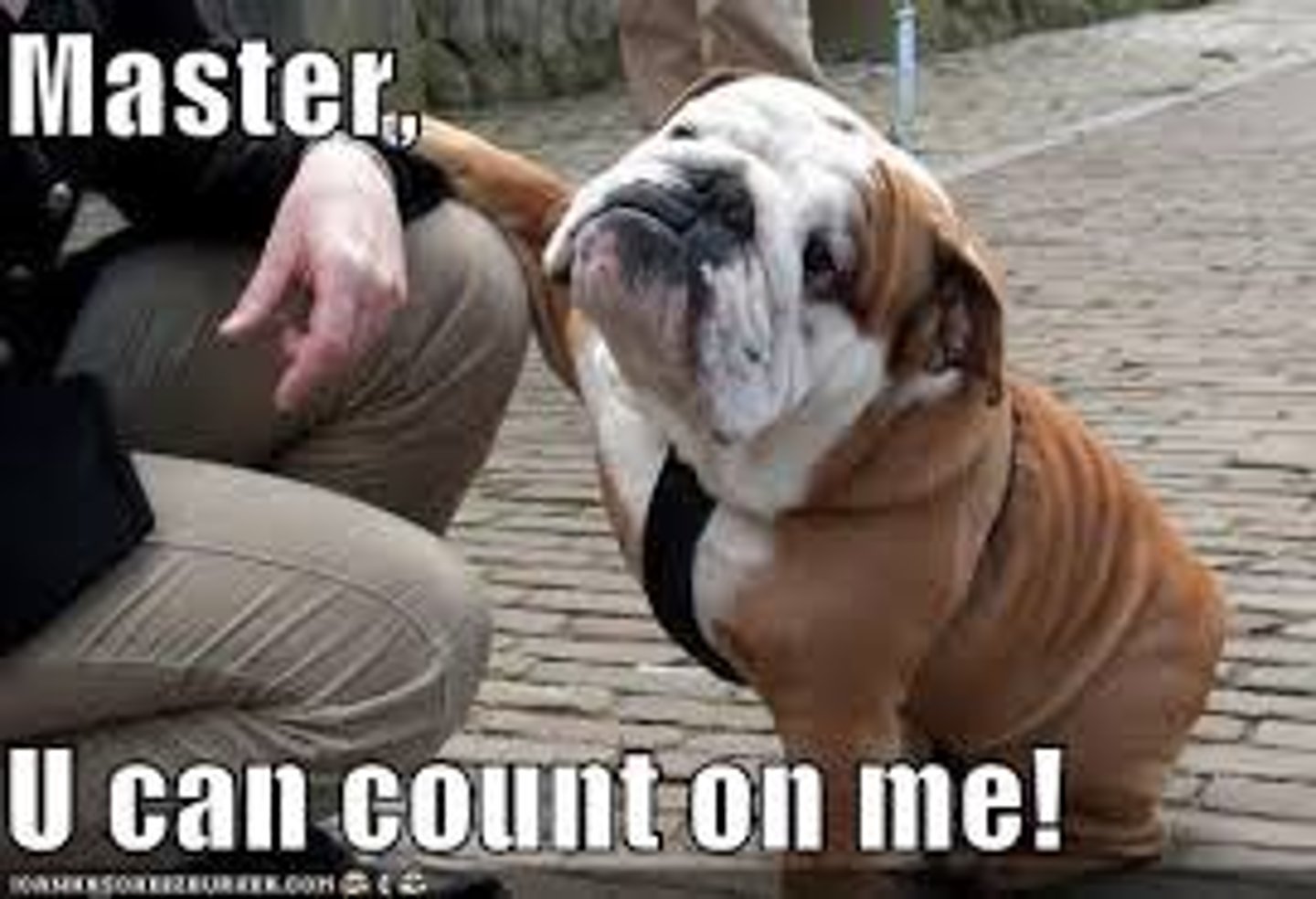 <p>to count on</p>