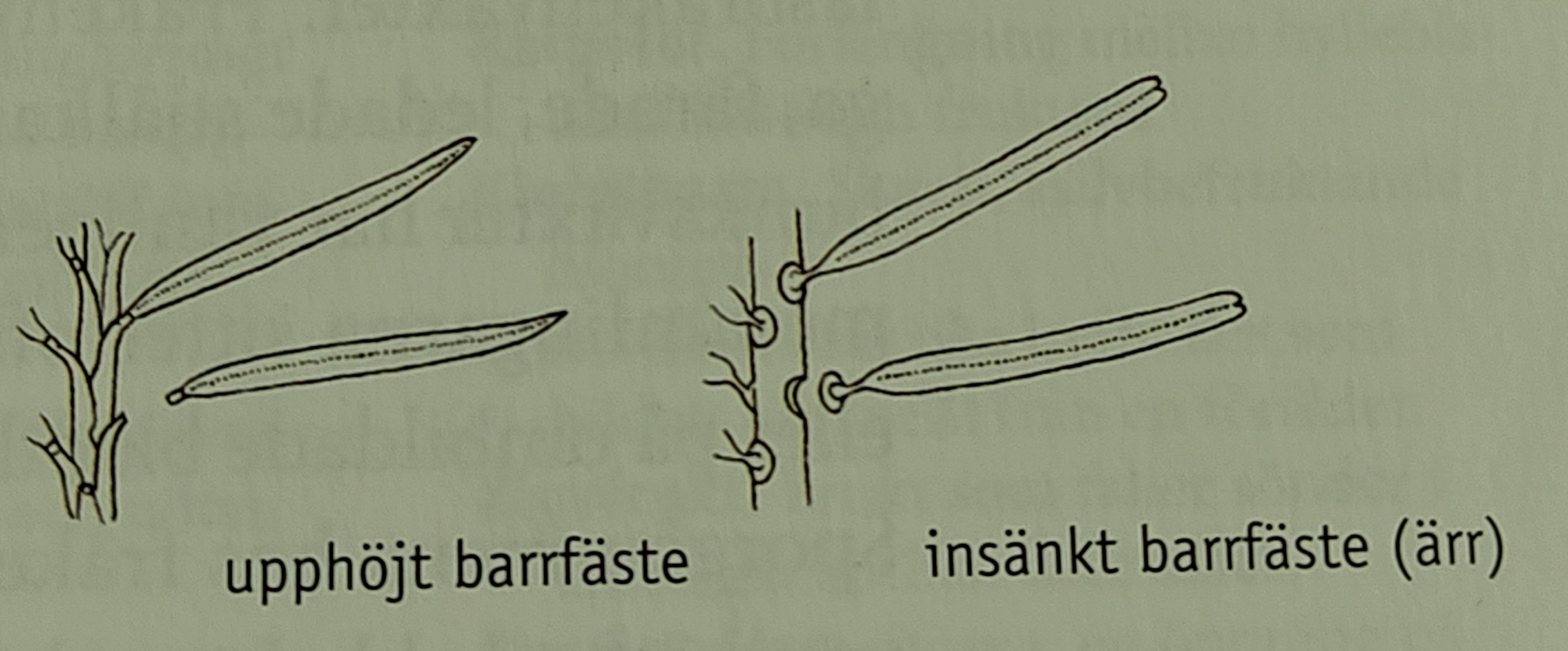 <p></p>