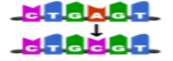 <p><span style="background-color: transparent;">Identify the type of gene mutation below. (insertion, deletion, or substitution)&nbsp; &nbsp; &nbsp; &nbsp;</span></p>