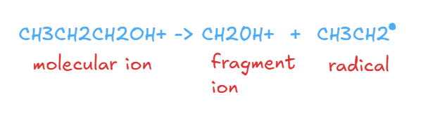 <p>Positively charged ion (detected by mass spec)+ a radical (uncharged + not detected)</p><p></p>