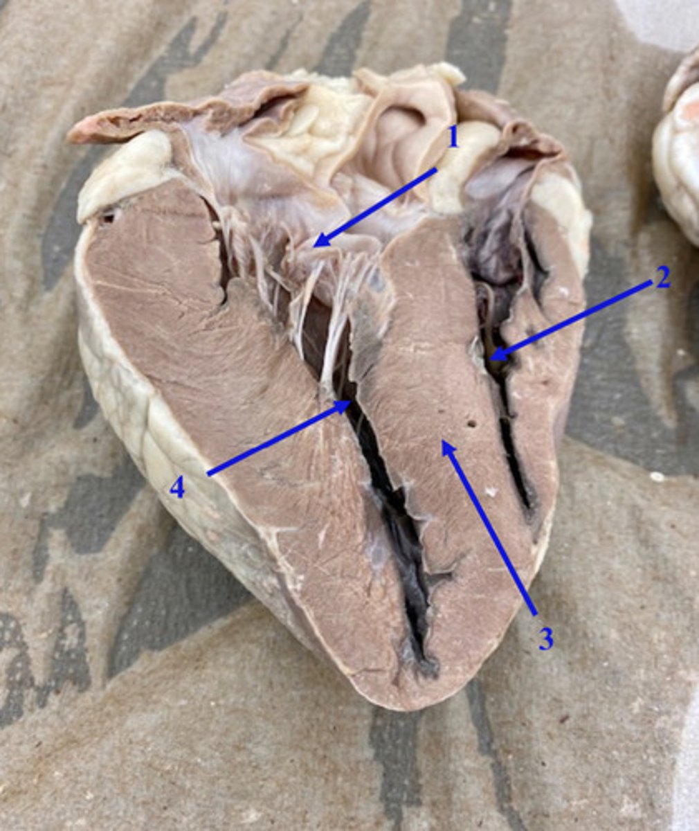 <p>2</p>