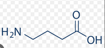 <p>MAO: Mono Amino Oxidase</p><p>GABA: γ-amino butyric acid (the picture belongs to GABA)</p><p>COX: Cyclooxygenase</p><p>SSRI: Selective Serotonin Reuptake Inhibitor</p>