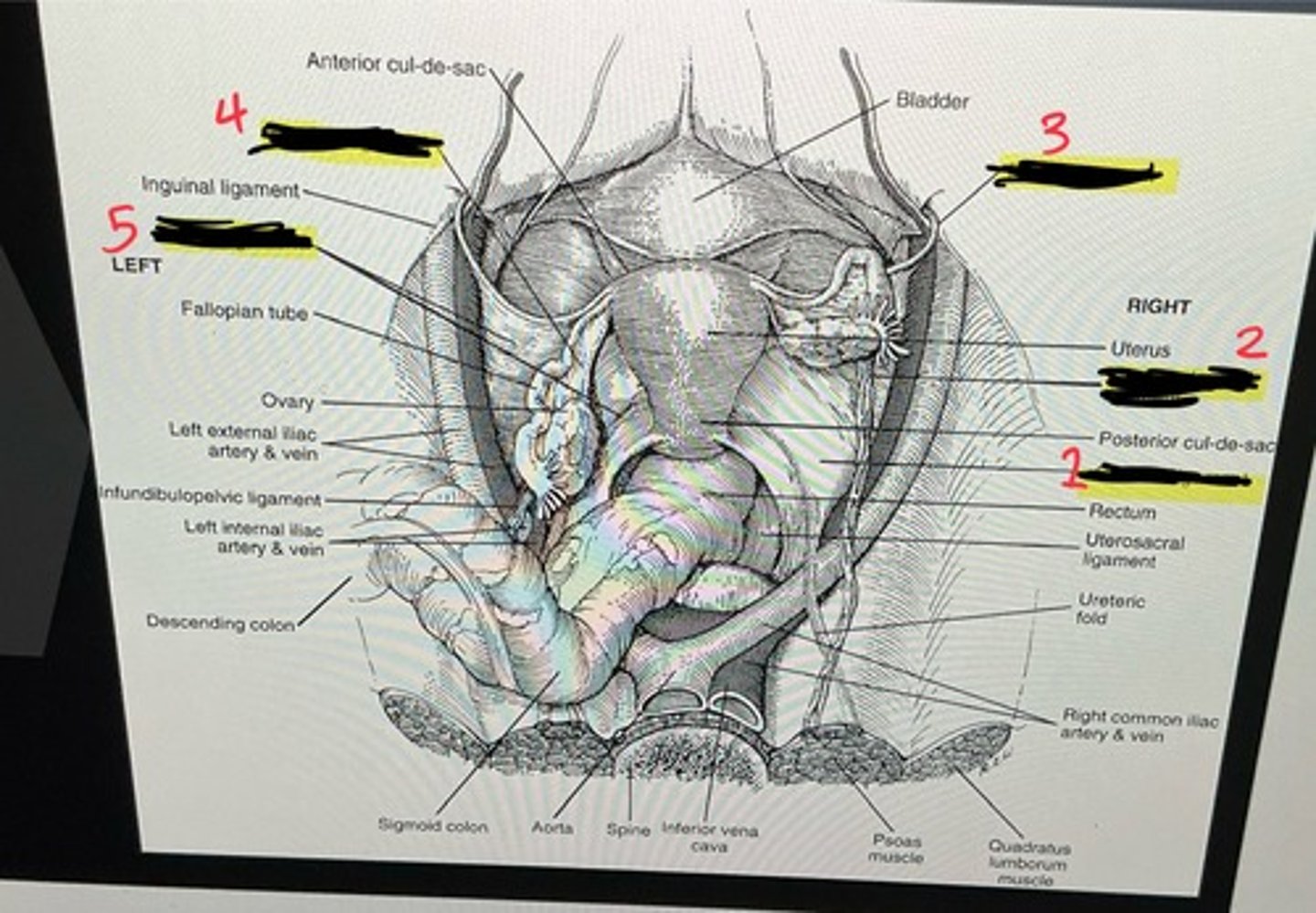 <p>3</p>