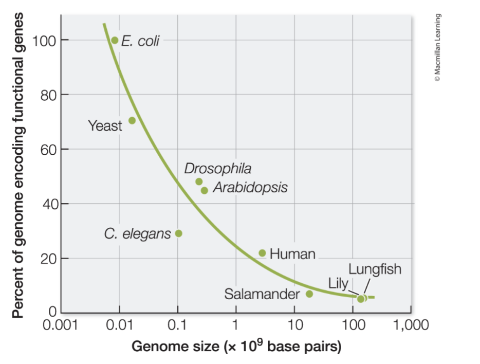 <p>Interpret this graph</p>