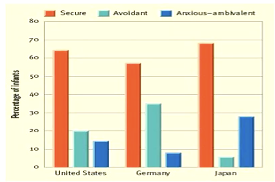 <ul><li><p>there are differences in diff cultures/countries</p></li><li><p>attachment can be impacted by culture</p></li><li><p>japan → more insecure-anxious</p></li><li><p>north america → insecure avoidant</p></li></ul><p></p>