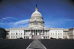 <p>A group/structure dedicated to a single purpose, OR a long-lasting pattern of order and cooperation in society.</p>