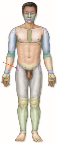 <p>what is this section called?</p>