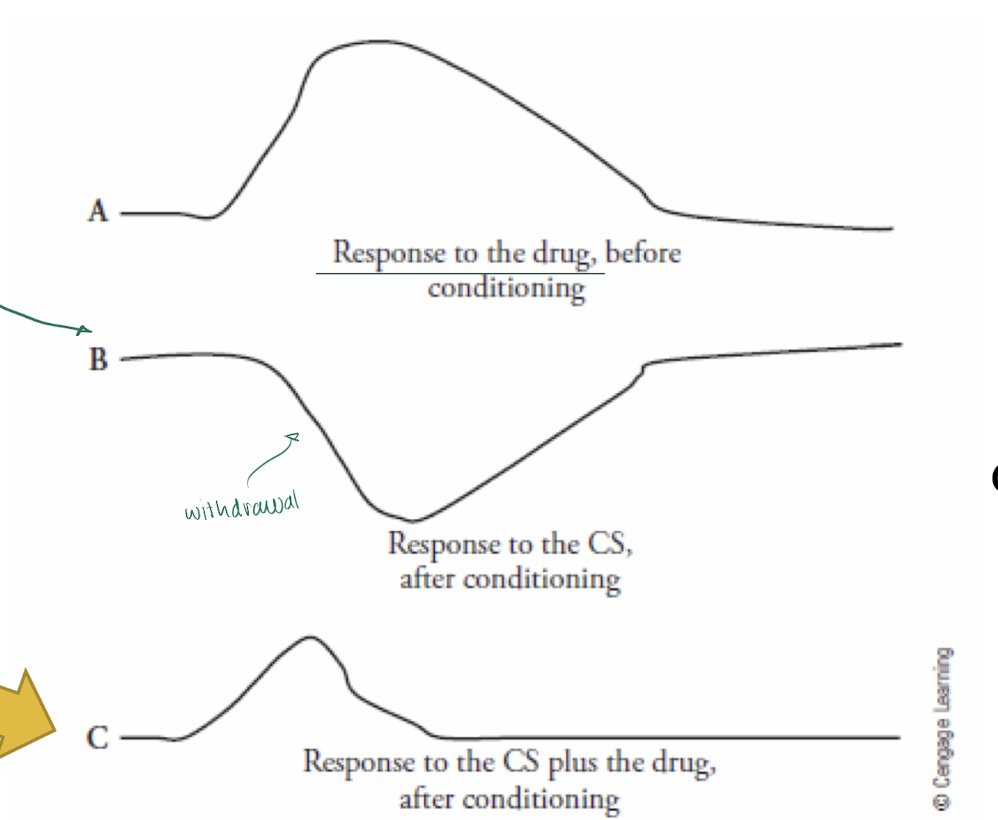 <ul><li><p>if in a new place, withdrawal symptoms/built tolerance doesn’t occur as fast → THUS, drug use is MORE intense bc ur body’s tolerance had been conditioned to a certain environment </p></li></ul><p>→ increased risk of overdoses </p><p></p>