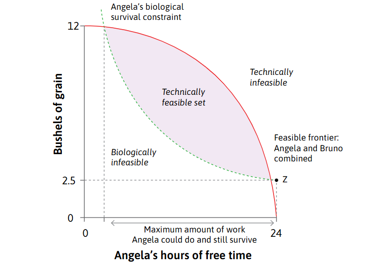 <p>From this graph, what can actually <em>kill </em>her? </p><p>-What area will Bruno be having a look at?</p>