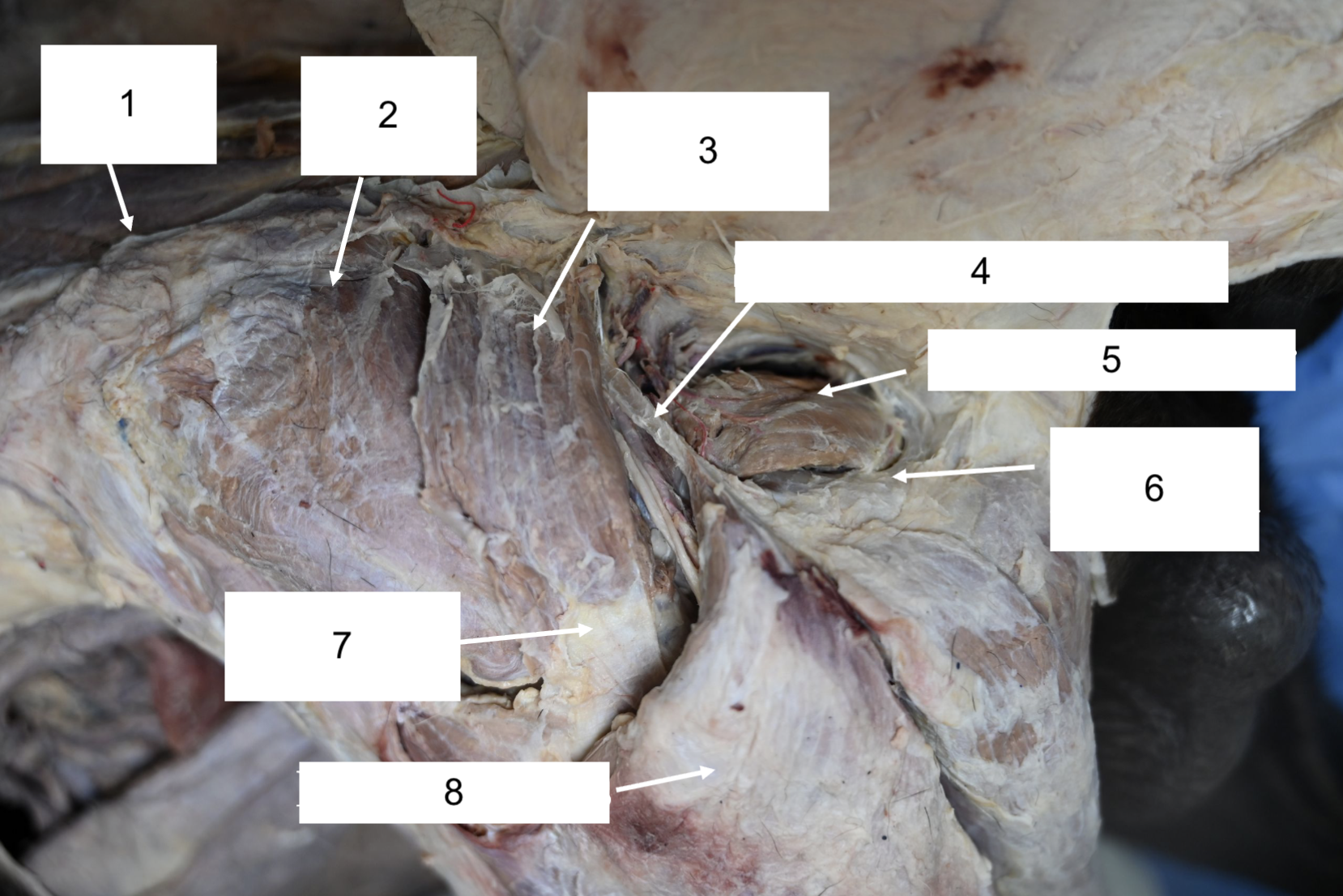 <p>What is 1?</p>
