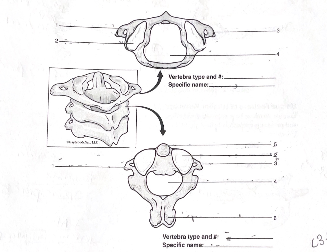 <p>3</p>