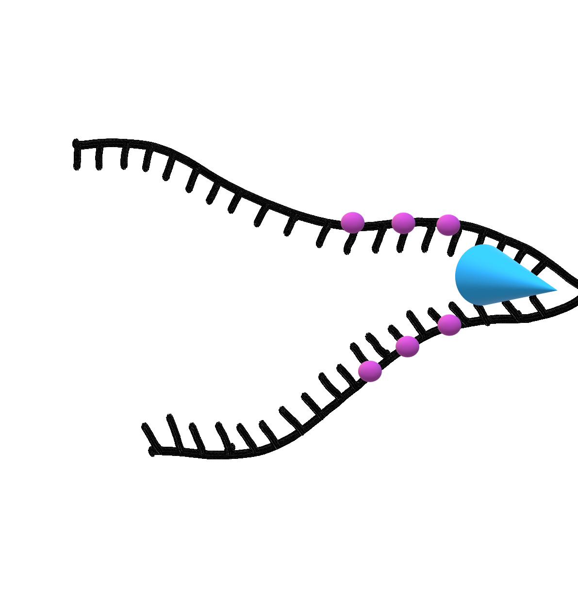 <p>what are the purple dots and their purpose?</p>