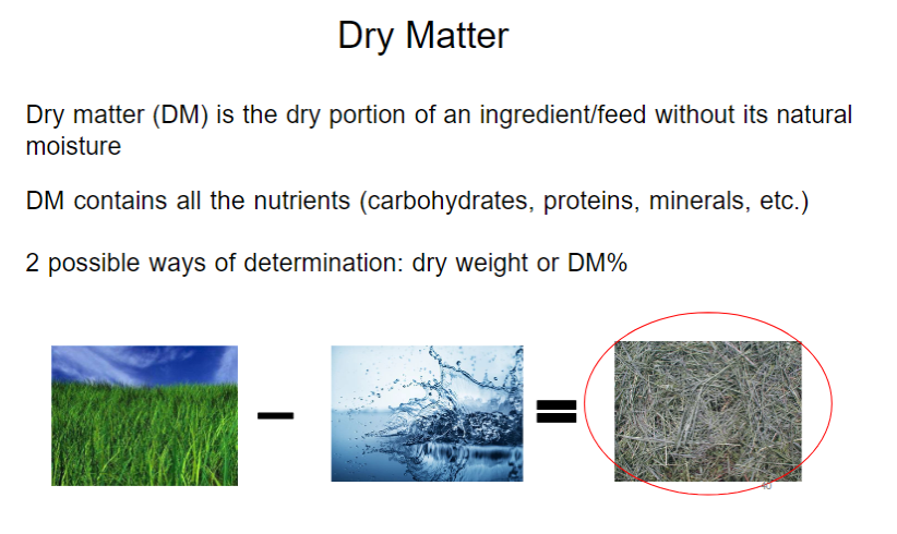 <p>Definition</p><ul><li><p>Dry Matter (DM) → dry portion of an ingredient or feed after removing its moisture</p></li><li><p>Contains the nutrients in the feed, including carbohydrates, proteins, minerals, and fats</p></li></ul><p>Ways to Express Dry Matter</p><ul><li><p>Dry weight → weight of the feed remaining after water removal (kg)</p></li><li><p>DM (%) → percentage of the feed's total as-fed weight that is dry matter</p></li><li><p>DM (%) + Moisture (%) = 100%</p></li></ul><p></p>