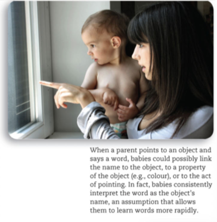 <ul><li><p>Caregivers label objects that their children are interacting with</p></li><li><p>Aided by the caregiver pointing or gazing toward the object</p></li></ul><p></p><ul><li><p>When toddlers touch or look at an object, parents often label it for them. When a youngster points to a banana, a parent may say, “Banana, that’s a banana.” Such labelling in the context of joint attention promotes word learning, particularly when infants and toddlers participate actively, directing their parents’ attention</p></li></ul><p></p>