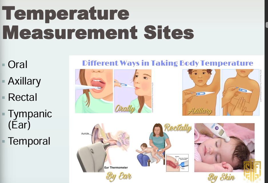 <p>Heat produced - Heat Loss = Body temperature</p><p>Sites:</p><ul><li><p>Oral</p></li><li><p>Axillary</p></li><li><p>Rectal</p></li><li><p>Tympanic (Ear)</p></li><li><p>Temporal</p></li></ul><p></p>