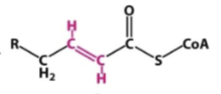 <p>what is the name of this intermediate </p>