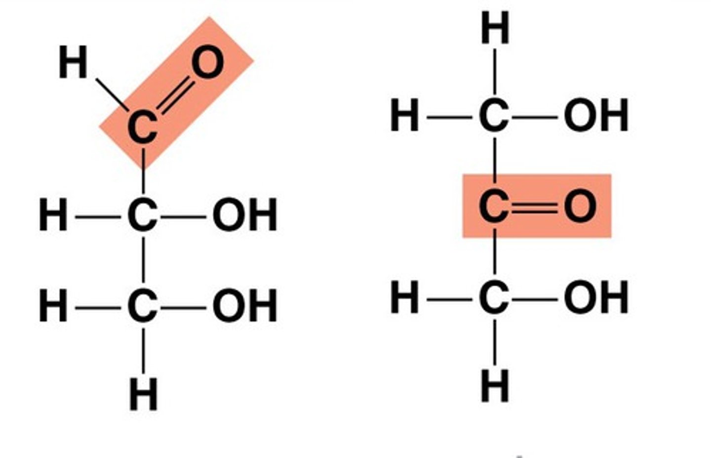 <p>Simplest of the monosaccharides composed of three carbon atoms</p><p>4 carbons - Tetrose</p><p>5 carbons - Pentose</p><p>6 carbons - Hexose</p>