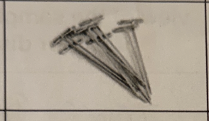 <p>holds down specimen or labels parts of a specimen</p>