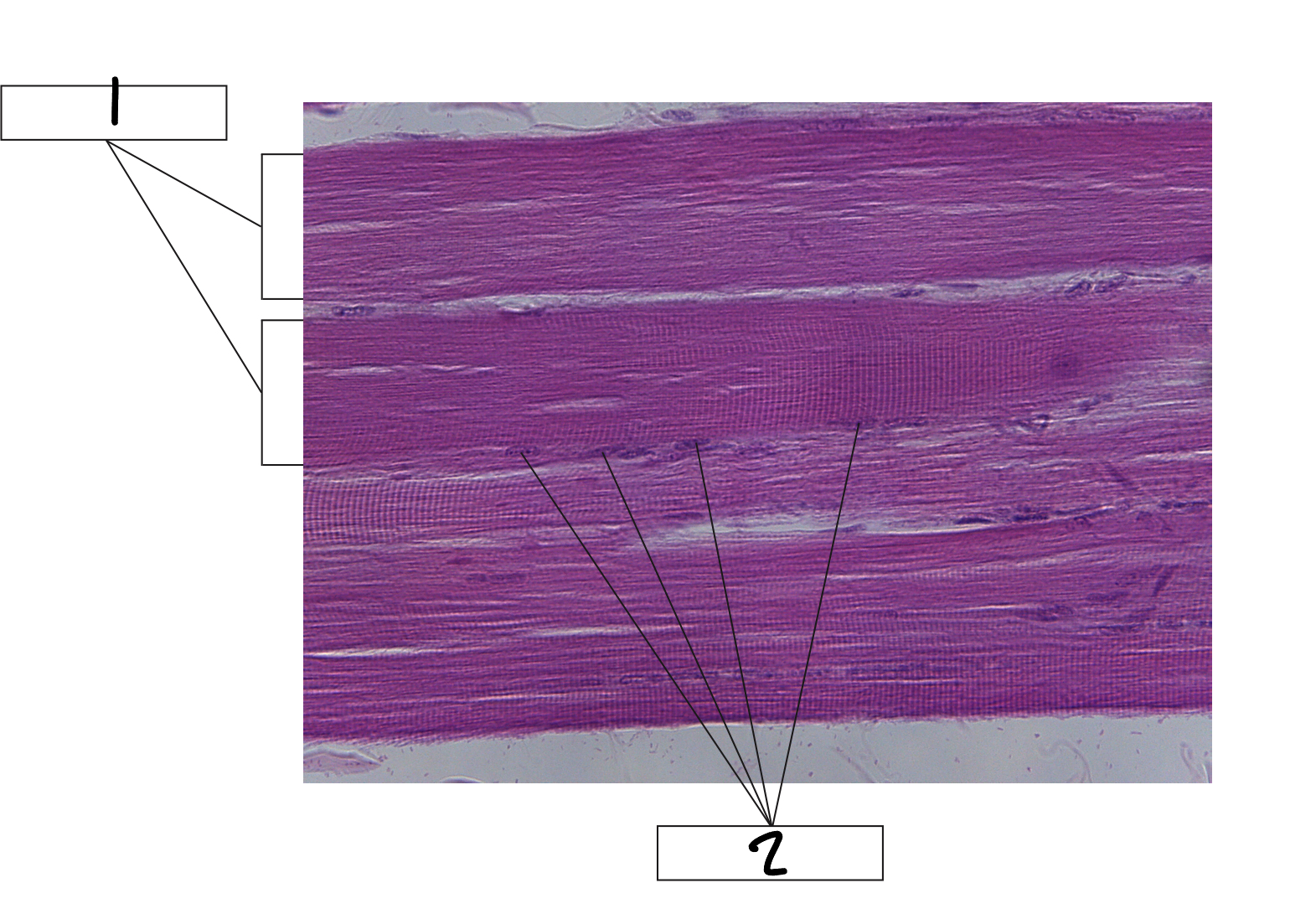 <p>2</p>
