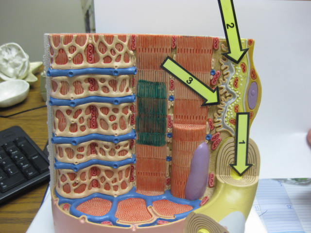 <p>What is at #1?</p>