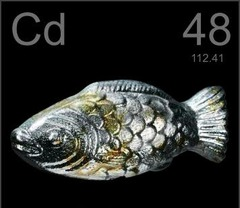 <p>48</p>