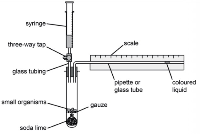 <ol><li><p>Set up the respirometer as shown in the diagrem</p></li><li><p>Use the syringe and 2 way tap to move the coloured liquid</p></li><li><p>Make sure the bung is pushed in securely</p></li><li><p>Record the start position and start a timer for 5 min</p></li><li><p>Record the end position of the coloured liquid</p></li><li><p>Calculate rate of respiration through : Volume of oxygen used /time</p></li></ol><p></p>