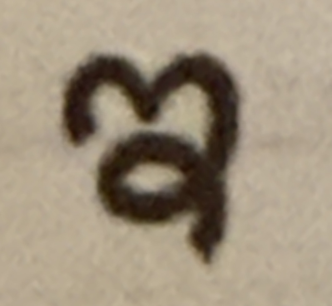 term image